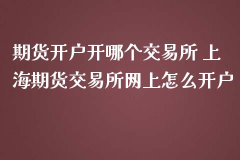期货开户开哪个交易所 上海期货交易所网上怎么开户