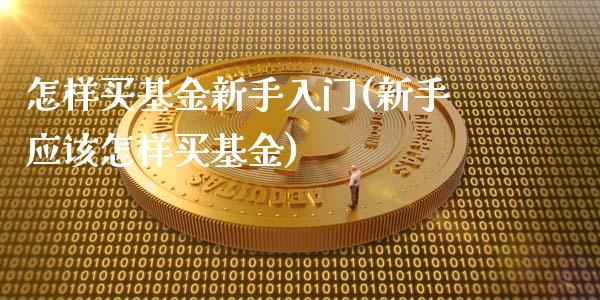 怎样买基金新手入门(新手应该怎样买基金)