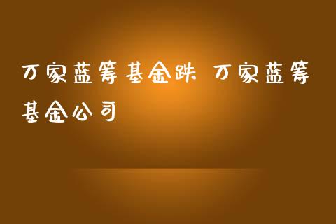万家蓝筹基金跌 万家蓝筹基金公司