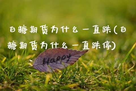 白糖期货为什么一直跌(白糖期货为什么一直跌停)