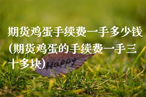 期货鸡蛋手续费一手多少钱(期货鸡蛋的手续费一手三十多块)