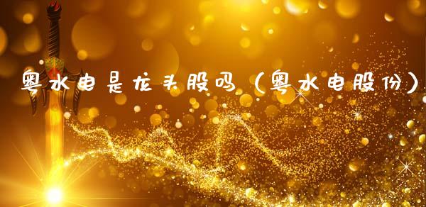 粤水电是龙头股吗（粤水电股份）