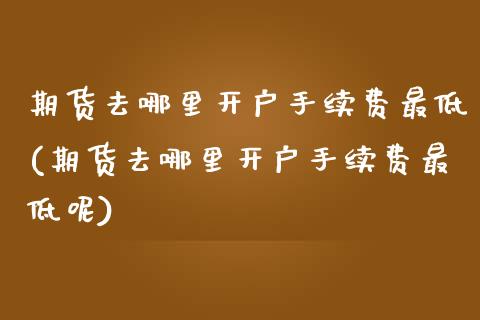 期货去哪里开户手续费最低(期货去哪里开户手续费最低呢)