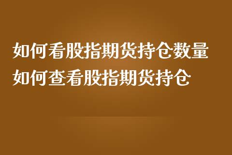 如何看股指期货持仓数量 如何查看股指期货持仓