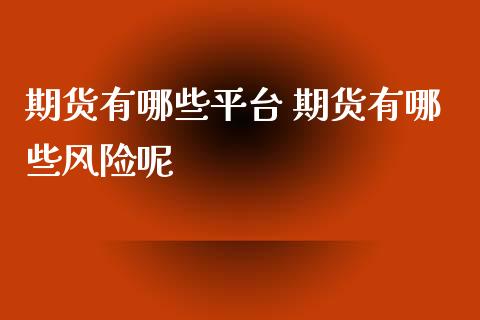 期货有哪些平台 期货有哪些风险呢