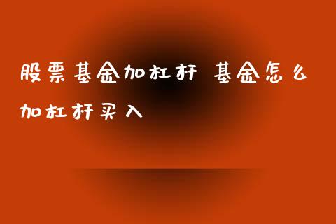 股票基金加杠杆 基金怎么加杠杆买入