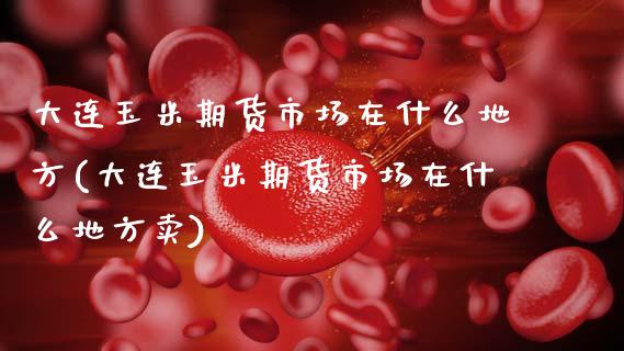 大连玉米期货市场在什么地方(大连玉米期货市场在什么地方卖)