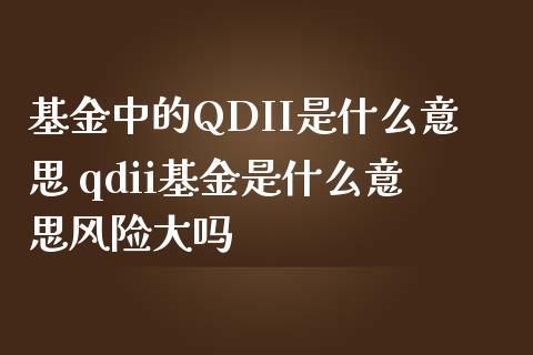 基金中的QDII是什么意思 qdii基金是什么意思风险大吗