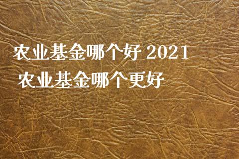 农业基金哪个好 2021 农业基金哪个更好