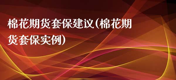 棉花期货套保建议(棉花期货套保实例)