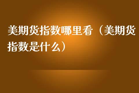 美期货指数哪里看（美期货指数是什么）