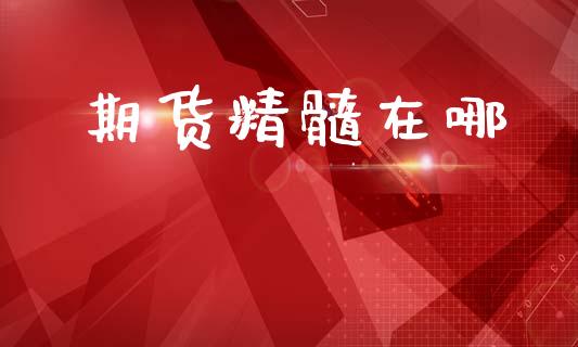期货精髓在哪