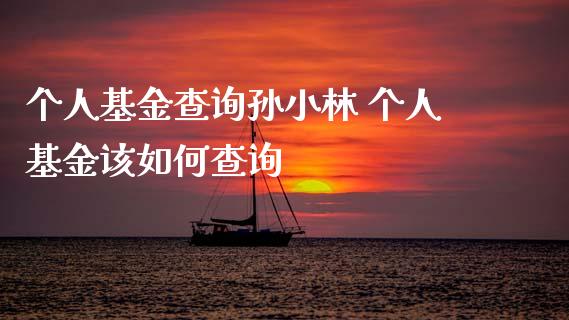 个人基金查询孙小林 个人基金该如何查询_https://www.dglong8.com_基金理财_第1张