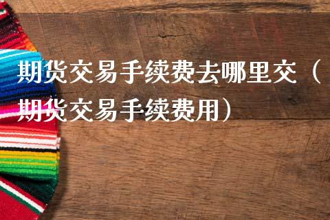 期货交易手续费去哪里交（期货交易手续费用）