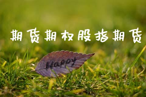 期货期权股指期货