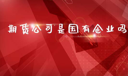 期货公司是国有企业吗