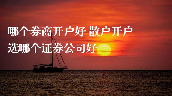 哪个券商开户好 散户开户选哪个证券公司好
