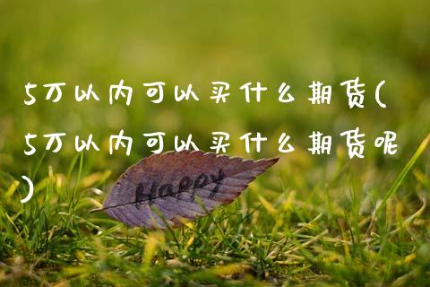 5万以内可以买什么期货(5万以内可以买什么期货呢)