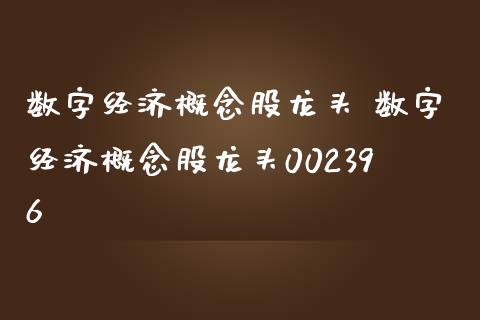 数字经济概念股龙头 数字经济概念股龙头002396