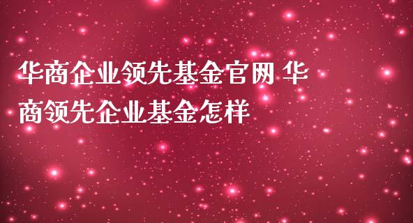 华商企业领先基金 华商领先企业基金怎样