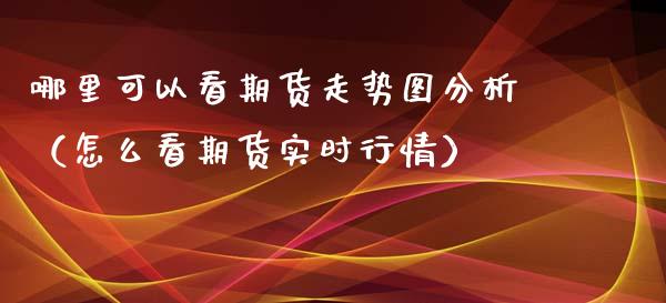 哪里可以看期货走势图分析（怎么看期货实时行情）