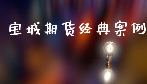 宝城期货经典案例