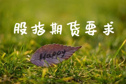 股指期货要求