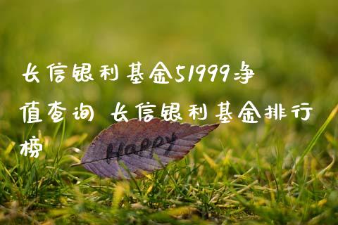 长信银利基金51999净值查询 长信银利基金排行榜