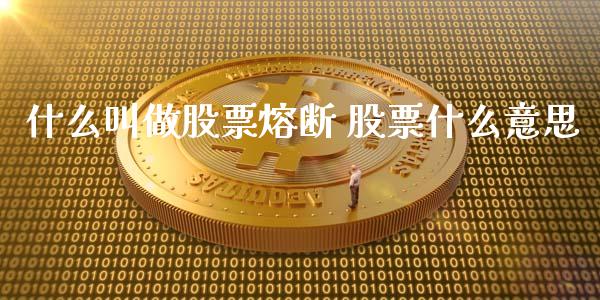 什么叫做股票熔断 股票什么意思