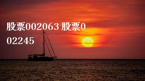 股票002063 股票002245_https://www.dglong8.com_股票理财_第1张