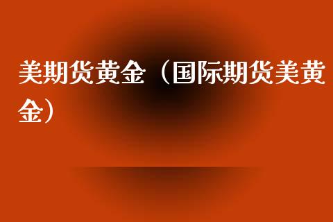 美期货黄金（国际期货美黄金）