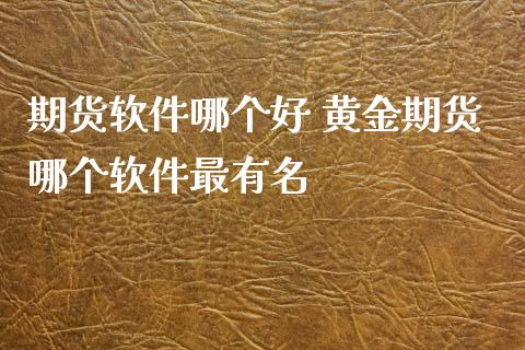 期货软件哪个好 黄金期货哪个软件最有名