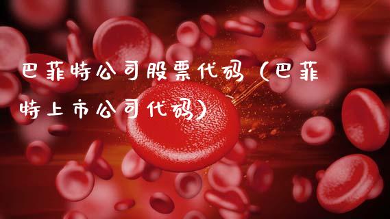 巴菲特公司股票代码（巴菲特上市公司代码）