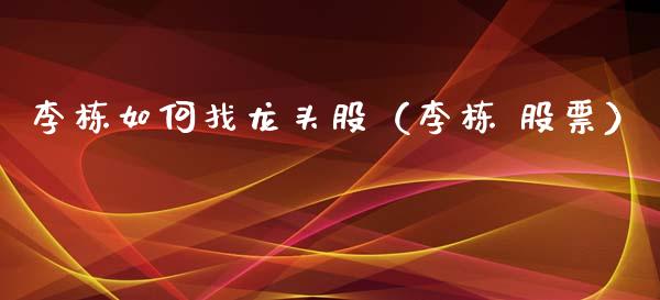 李栋如何找龙头股（李栋 股票）