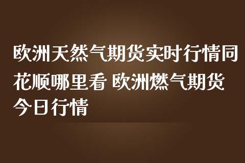 欧洲天然气期货实时行情同花顺哪里看 欧洲燃气期货今日行情