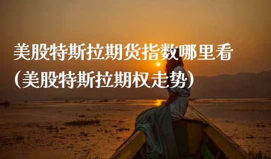 美股特斯拉期货指数哪里看(美股特斯拉期权走势)