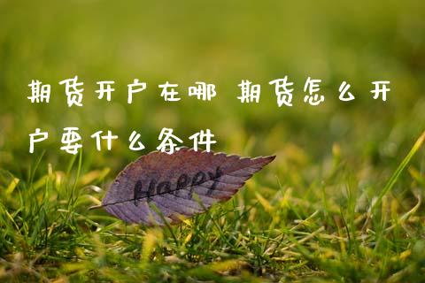 期货开户在哪 期货怎么开户要什么条件