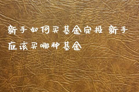 新手如何买基金定投 新手应该买哪种基金_https://www.dglong8.com_基金理财_第1张