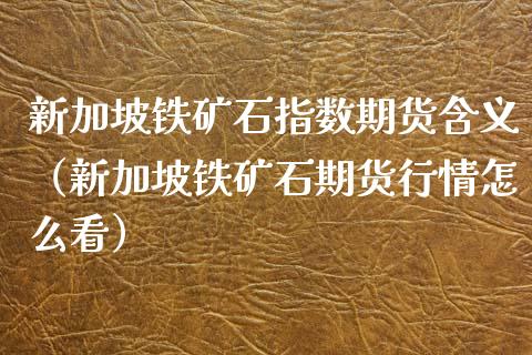 新加坡铁矿石指数期货含义（新加坡铁矿石期货行情怎么看）