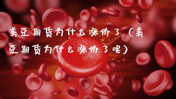 美豆期货为什么涨价了（美豆期货为什么涨价了呢）