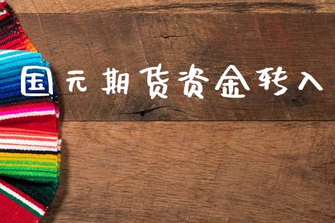 国元期货资金转入