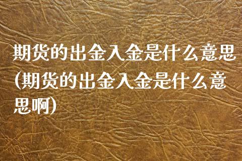 期货的出金入金是什么意思(期货的出金入金是什么意思啊)