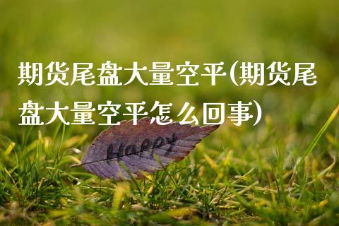 期货尾盘大量空平(期货尾盘大量空平怎么回事)