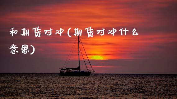 和期货对冲(期货对冲什么意思)