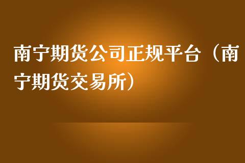 南宁期货公司正规平台（南宁期货交易所）