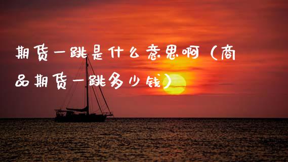 期货一跳是什么意思啊（商品期货一跳多少钱）