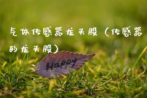 气体传感器龙头股（传感器的龙头股）_https://www.dglong8.com_财经要闻_第1张