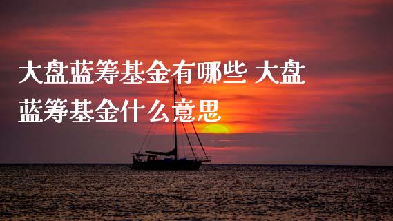 大盘蓝筹基金有哪些 大盘蓝筹基金什么意思_https://www.dglong8.com_基金理财_第1张