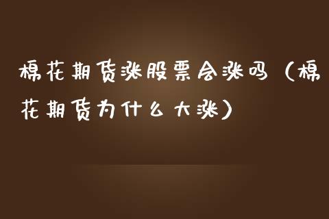 棉花期货涨股票会涨吗（棉花期货为什么大涨）