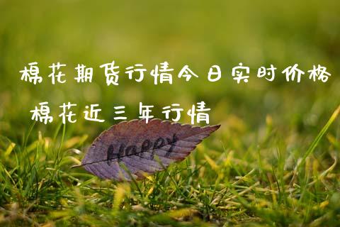 棉花期货行情今日实时价格 棉花近三年行情
